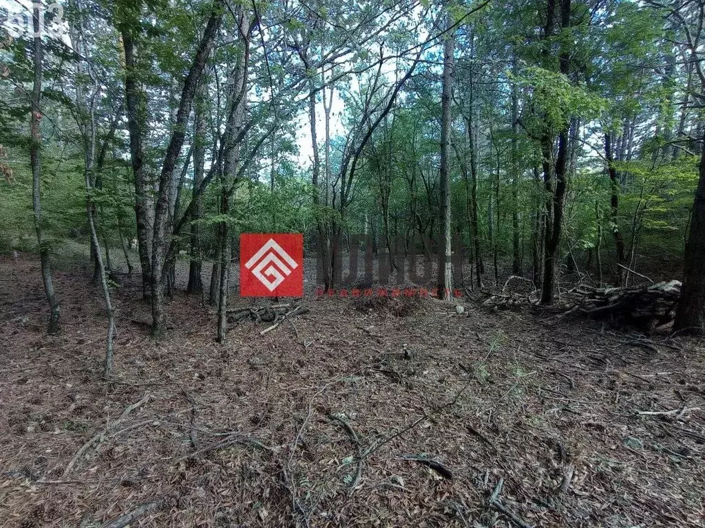 Участок в Крым, Ялта муниципальный округ, Краснокаменка пгт пер. ... - Фото 2