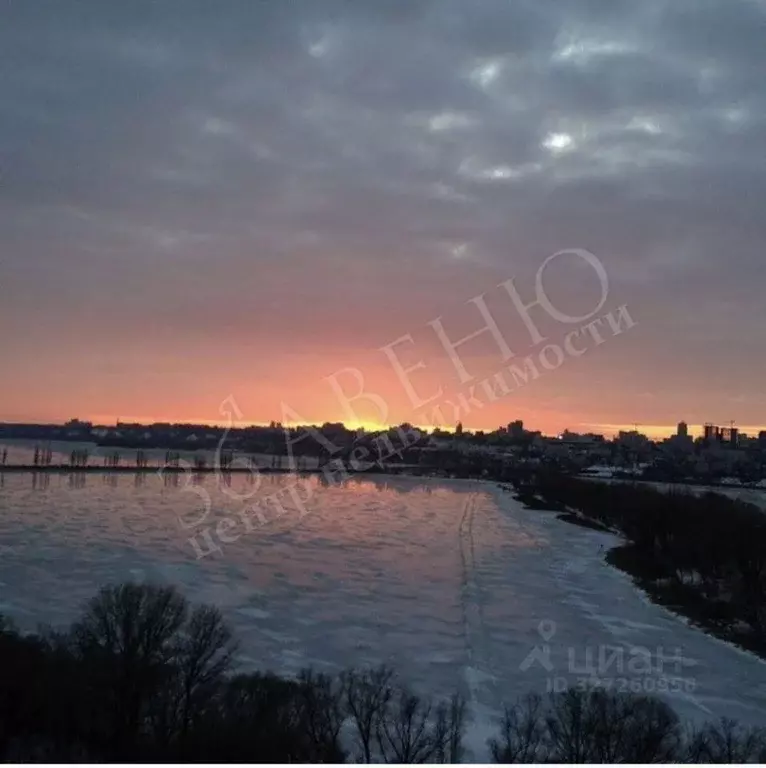 1-к кв. Воронежская область, Воронеж ул. Димитрова, 2а (40.0 м) - Фото 1