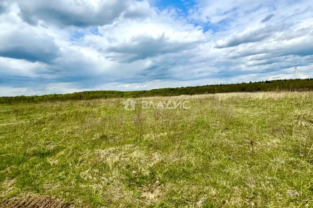 Участок в Владимирская область, Владимир д. Шепелево, ул. Новая, 7 ... - Фото 1