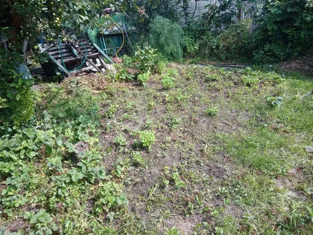 Дача 20 м на участке 5,3 сот. - Фото 1