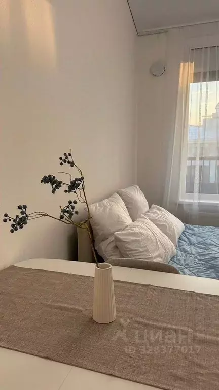 Студия Санкт-Петербург пос. Стрельна, просп. Буденного, 22 (25.0 м) - Фото 2