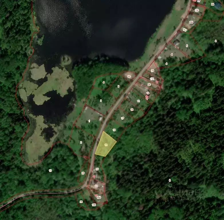 Участок в Новгородская область, Валдайский район, Костковское с/пос, ... - Фото 1