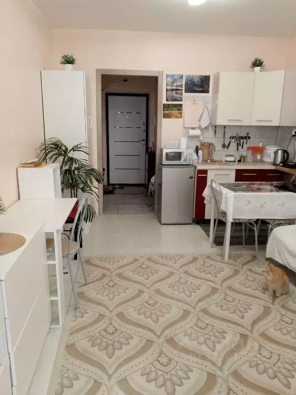 Студия Калининградская область, Калининград Батальная ул., 100 (26.0 ... - Фото 1