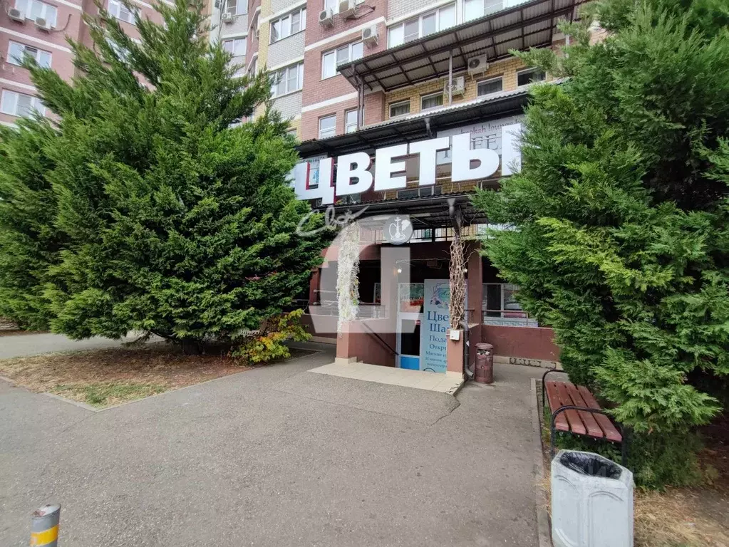 Помещение свободного назначения в Краснодарский край, Краснодар ... - Фото 0
