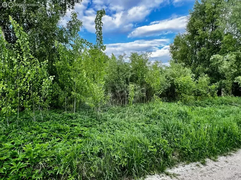 Участок в Ярославль, Красноперекопский район (6.6 м) - Фото 1