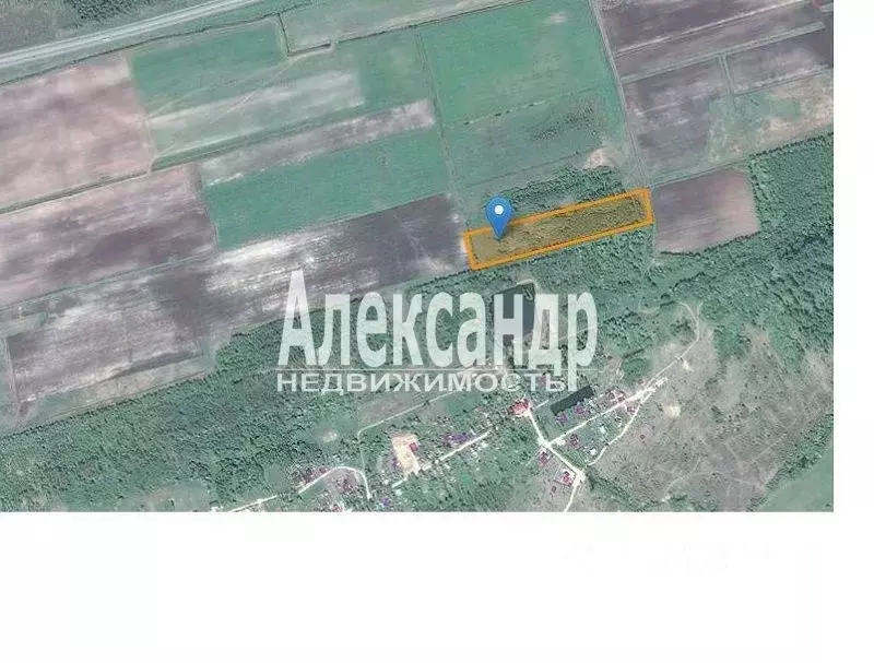 Участок в Ленинградская область, Кировский район, Путиловское с/пос, ... - Фото 2