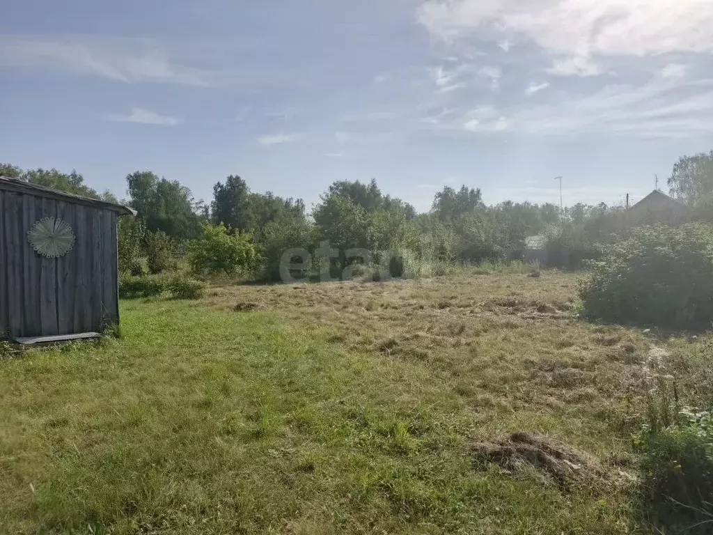 Участок в Челябинская область, Пласт ул. Фермеров, 7 (20.0 сот.) - Фото 1