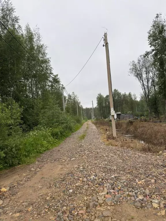 Участок в Ленинградская область, Кировский район, Мгинское городское ... - Фото 1