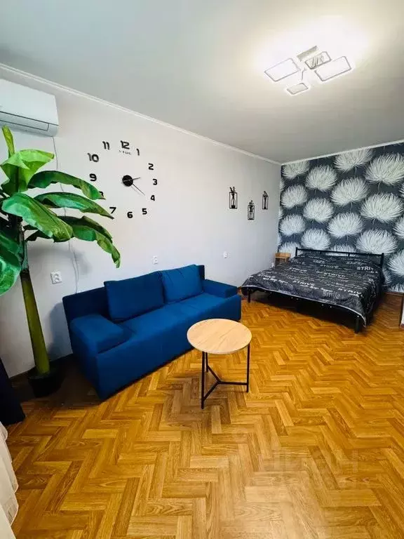 1-к кв. Краснодарский край, Новороссийск ул. Куникова, 36 (36.0 м) - Фото 0