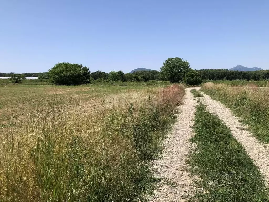 Участок в Ставропольский край, Пятигорск городской округ, пос. ... - Фото 1