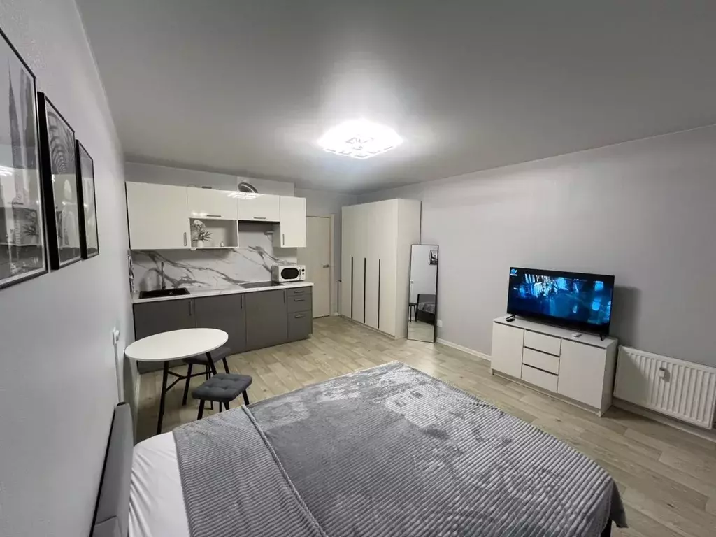 Студия Ленинградская область, Всеволожский район, д. Новое Девяткино ... - Фото 1