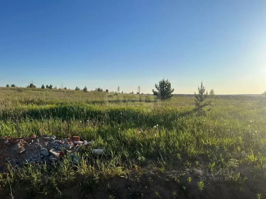 Участок в Удмуртия, Завьяловский район, д. Лудорвай ул. Тенистая ... - Фото 1