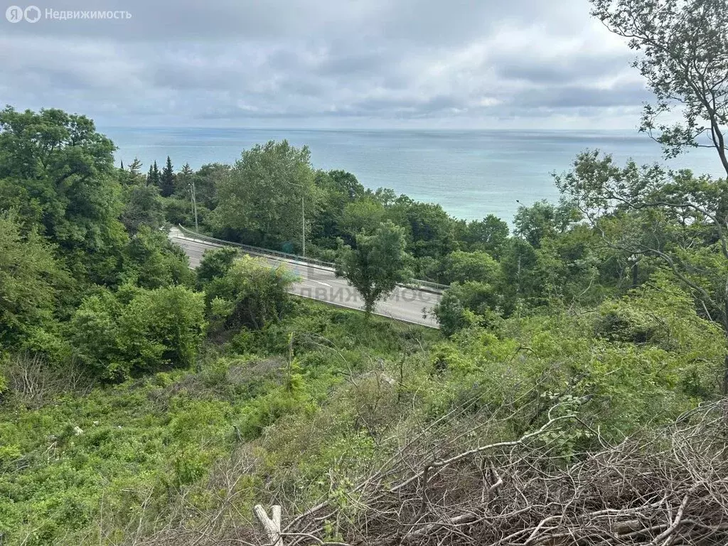 Участок в Сочи, улица Авроры (6.3 м) - Фото 1