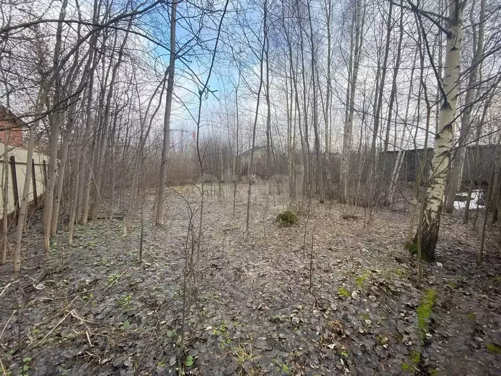 Участок в посёлок городского типа Нахабино, Родниковая улица (10 м) - Фото 0