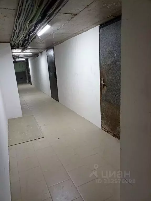 Помещение свободного назначения в Краснодарский край, Анапа Алексеевка ... - Фото 0
