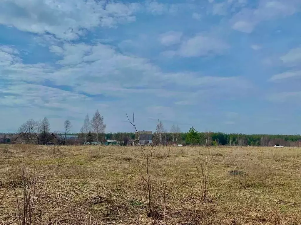 Участок в Воронежская область, Верхнехавский район, Малоприваловское ... - Фото 0