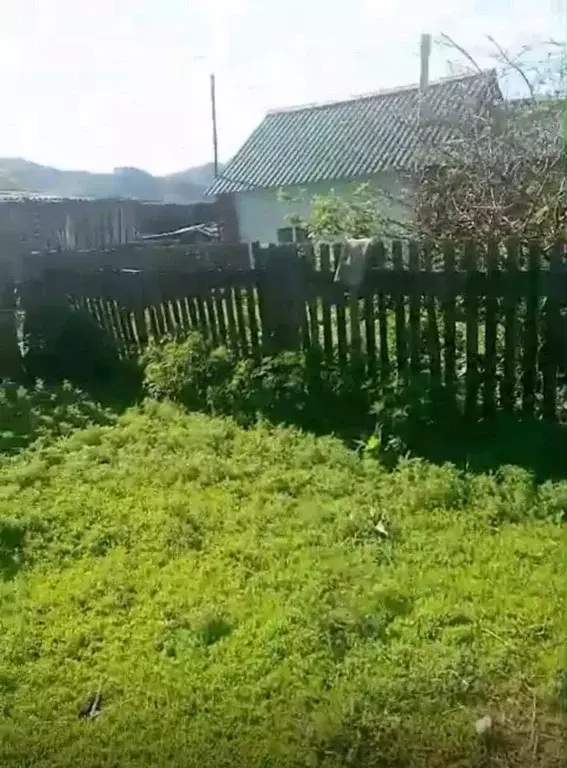 Дом в Алтай, Усть-Коксинский район, с. Тюнгур Катунская ул. (20 м) - Фото 1