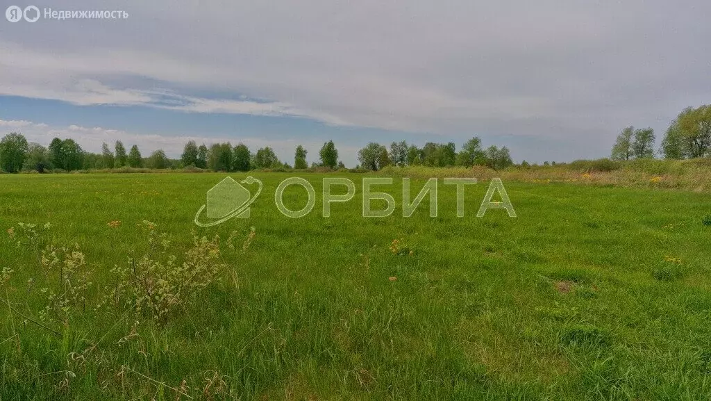 Участок в Тюменский район, деревня Есаулова (10 м) - Фото 1