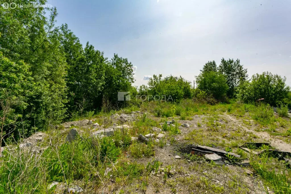 Участок в Криводановский сельсовет, СНТ Рябинка (9.08 м) - Фото 0