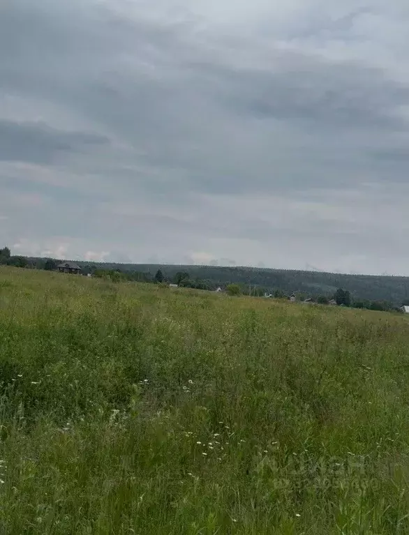 Участок в Свердловская область, Староуткинск муниципальный округ, д. ... - Фото 2