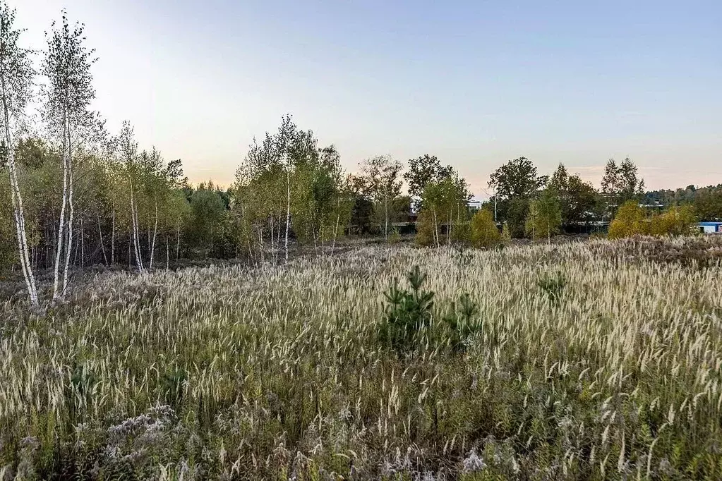 Участок в Московская область, Одинцовский городской округ, д. Дарьино, ... - Фото 1