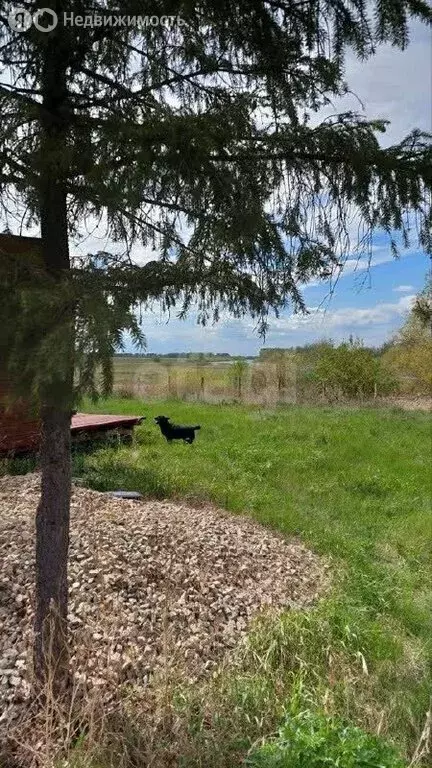 Участок в Курганская область, Кетовский муниципальный округ, посёлок ... - Фото 2
