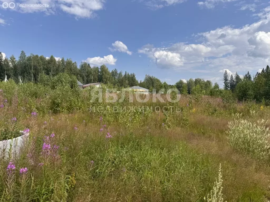 Участок в Николаев Посад, Светлая улица, 8 (11.5 м) - Фото 1