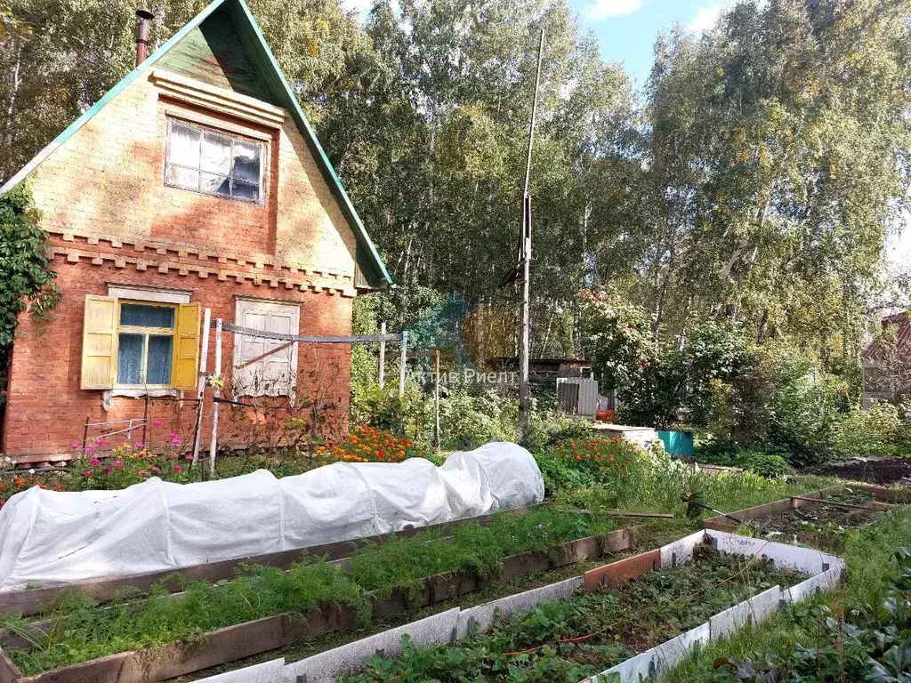 Дом в Омская область, Омск СОСН Мир тер.,  (25 м) - Фото 2