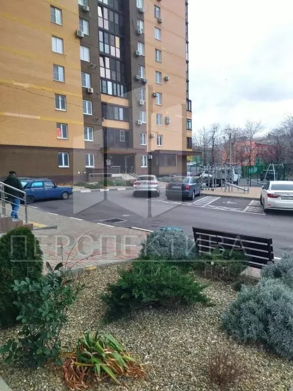 Помещение свободного назначения в Краснодарский край, Новороссийск ул. ... - Фото 0