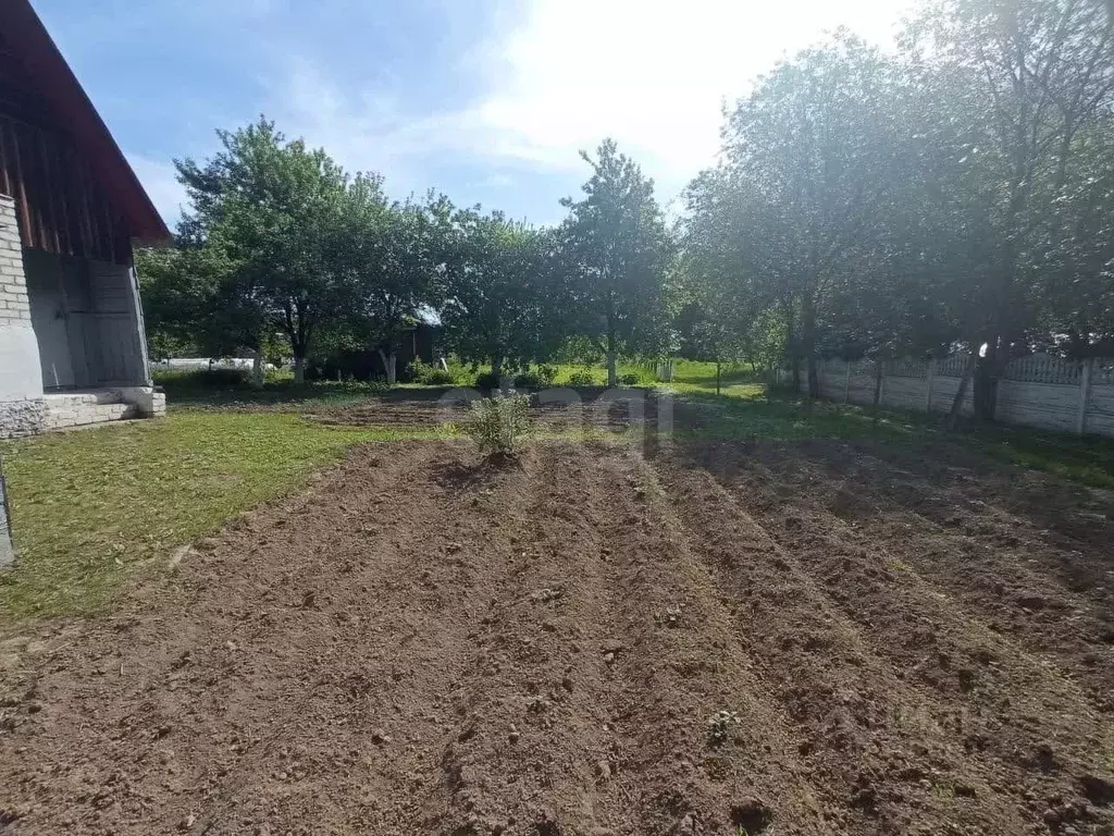 Участок в Брянская область, Брянский район, Снежское с/пос, пос. ... - Фото 2