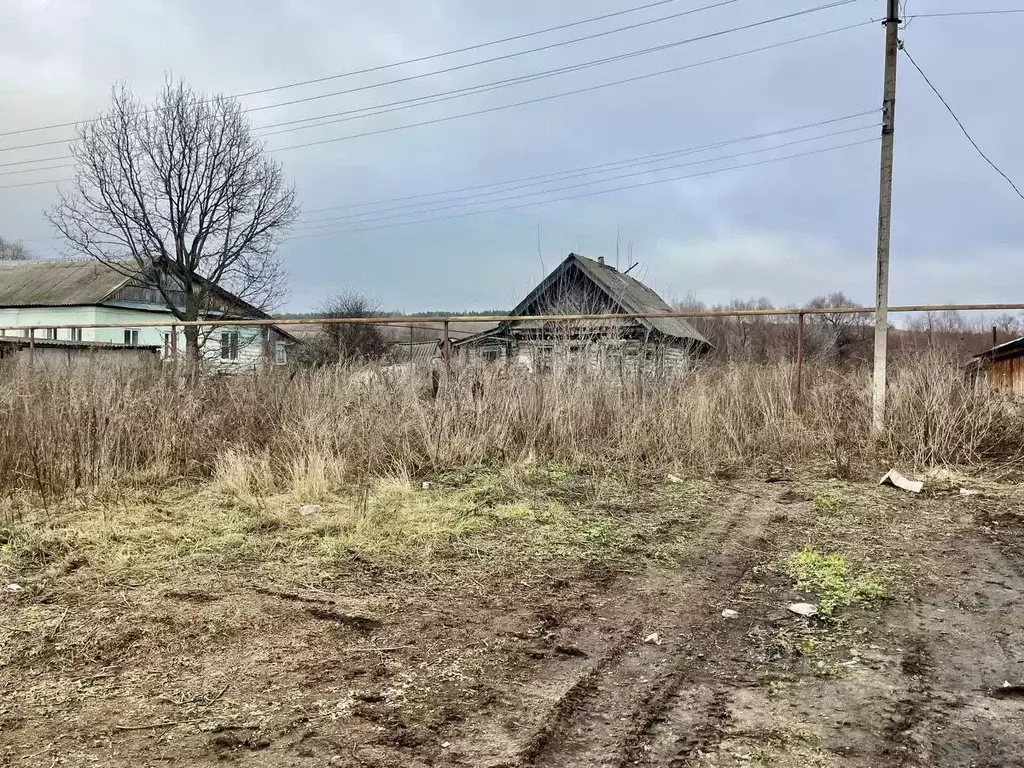 Дом в Мордовия, Большеберезниковский район, с. Косогоры ул. Ленина, ... - Фото 1
