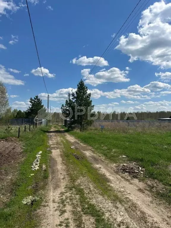 Участок в Тюменская область, Нижнетавдинский район, Полиграфист ... - Фото 1