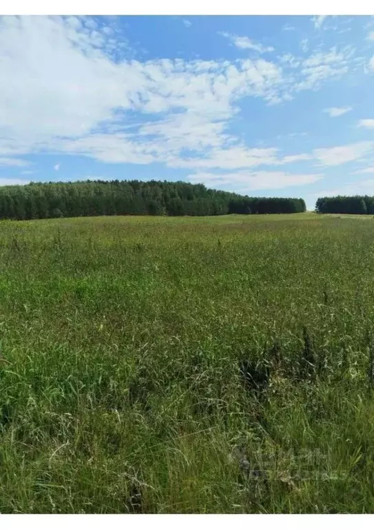 Участок в Свердловская область, Байкаловский район, Краснополянское ... - Фото 1