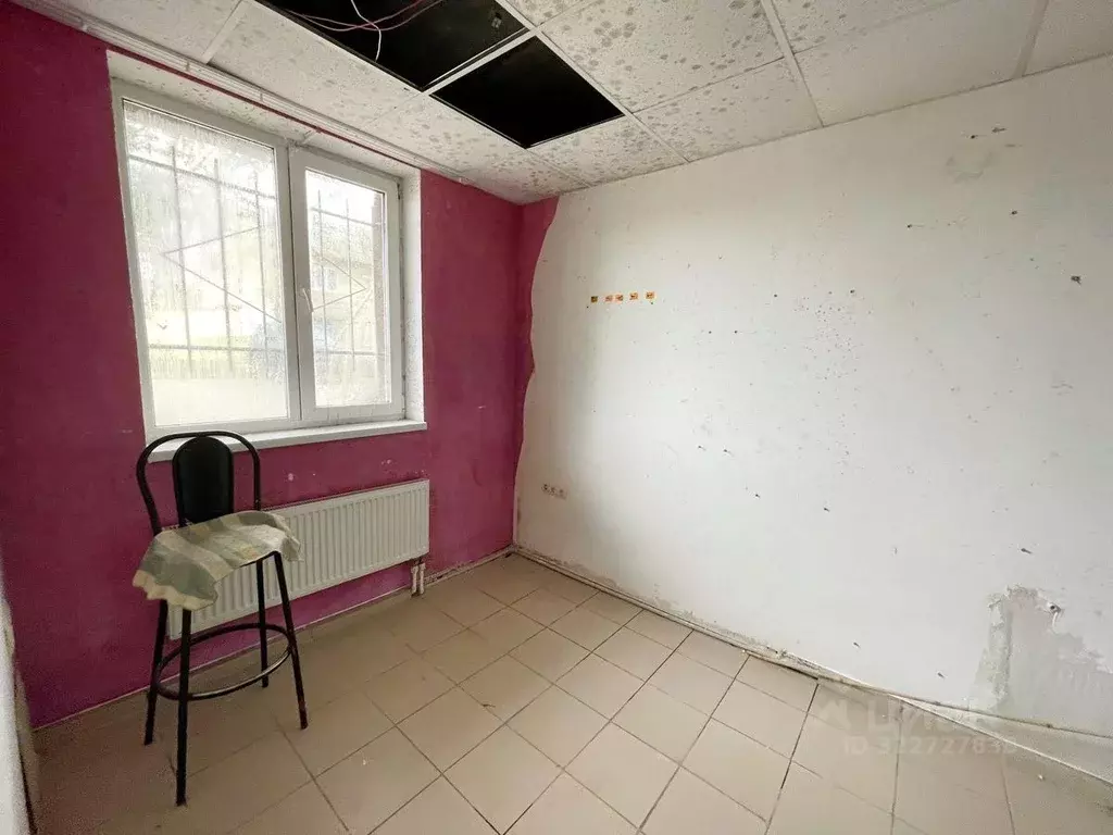 Торговая площадь в Калининградская область, Светловский городской ... - Фото 2