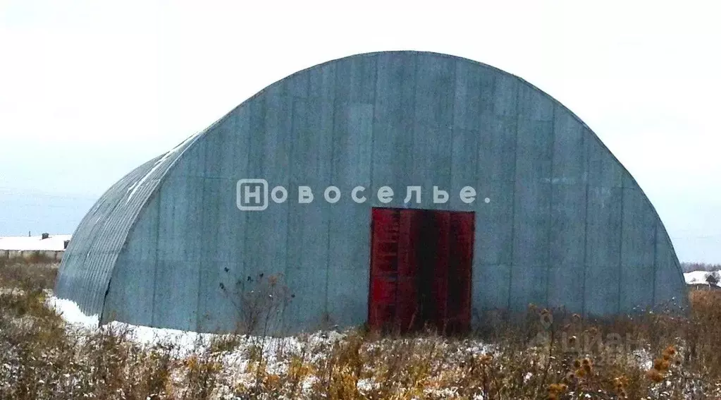 Склад в Рязанская область, Шиловский район, Занино-Починковское с/пос, ... - Фото 1