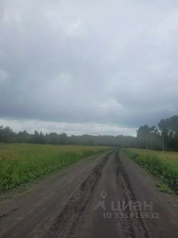Участок в Курганская область, Кетовский муниципальный округ, с. ... - Фото 1