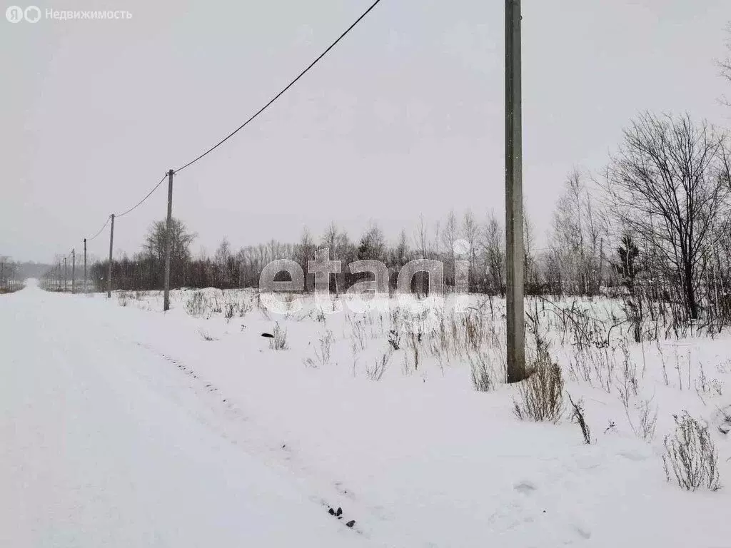 Участок в Тюменская область, Ишимский муниципальный округ, территория ... - Фото 1