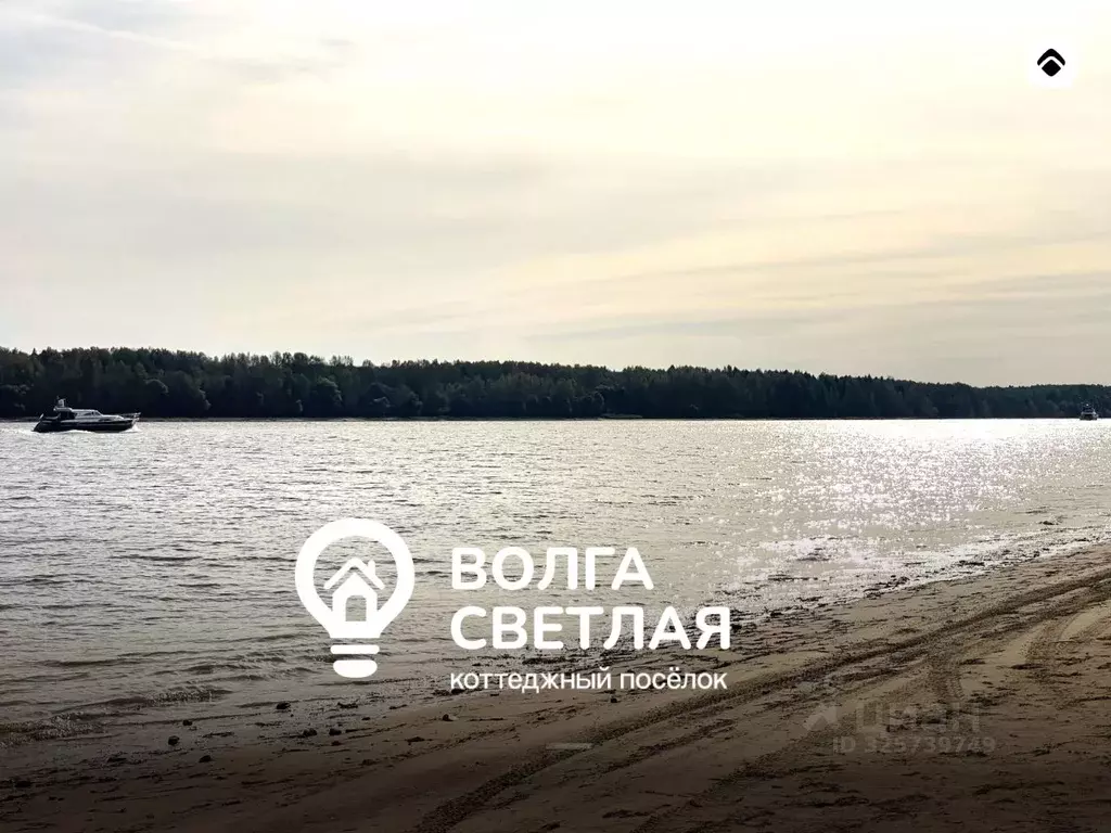 Участок в Ярославская область, Угличский муниципальный округ, Волга ... - Фото 1