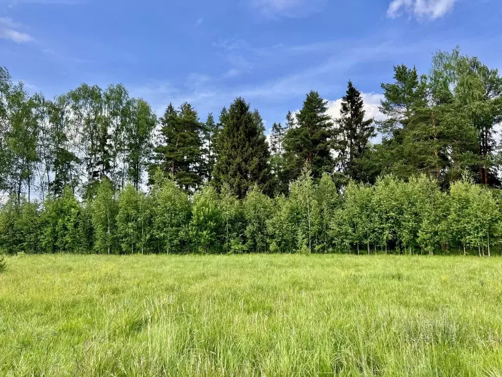 Участок в Московская область, Пушкино Чистые Пруды-3 кп, ул. ... - Фото 2