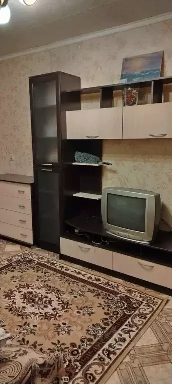 2-к кв. Новосибирская область, Новосибирск Красный просп., 85 (43.2 м) - Фото 1