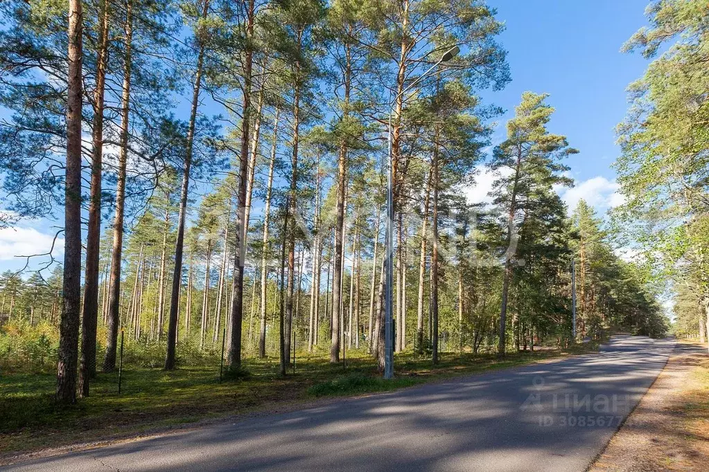 Участок в Санкт-Петербург пос. Комарово, просп. Лесной (60.0 сот.) - Фото 1