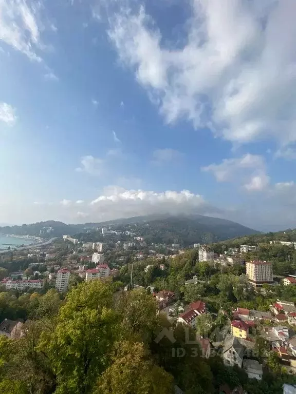 Студия Краснодарский край, Сочи Сухумское ш., 19/2 (30.0 м) - Фото 0