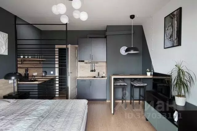 Студия Санкт-Петербург 5-й Предпортовый проезд, 2 (25.0 м) - Фото 2