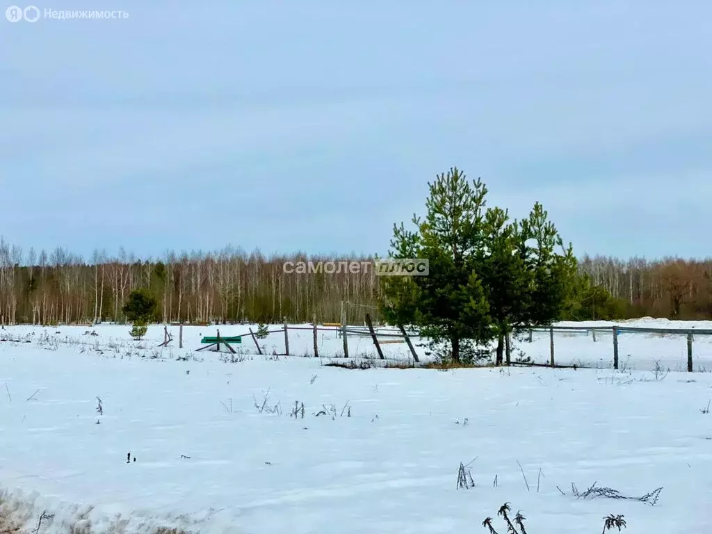 Участок в Павлово-Посадский городской округ, деревня Саурово (7 м) - Фото 0