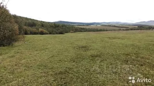 Участок в Башкортостан, Белорецкий район, Азикеевский сельсовет  ... - Фото 2