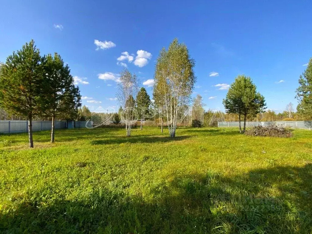 Участок в Тюменская область, Тюменский муниципальный округ, Ежевика дп ... - Фото 2