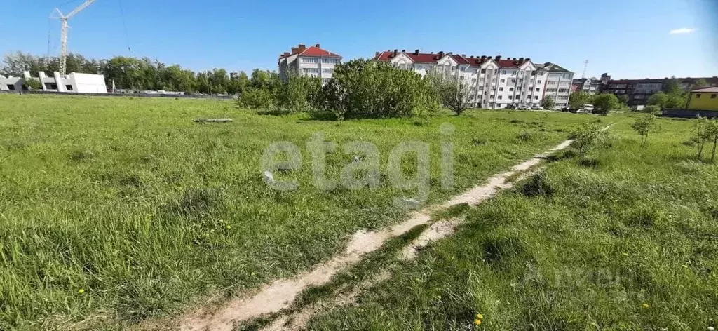 Участок в Брянская область, Брянский район, Новодарковичское с/пос, ... - Фото 1