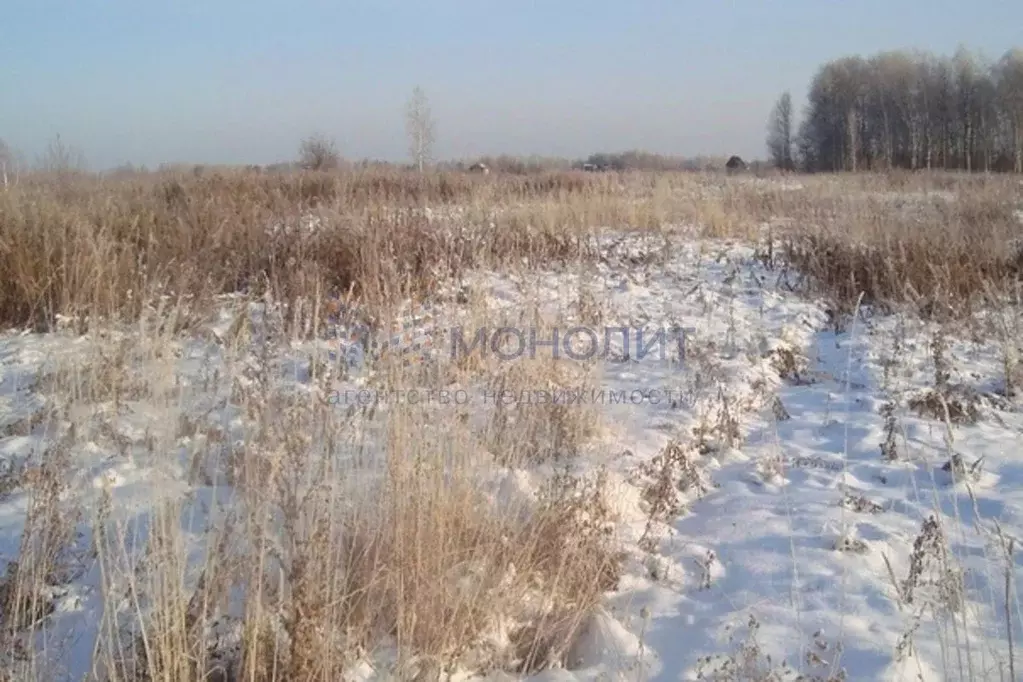 Участок в Нижегородская область, Балахнинский муниципальный округ, ... - Фото 1