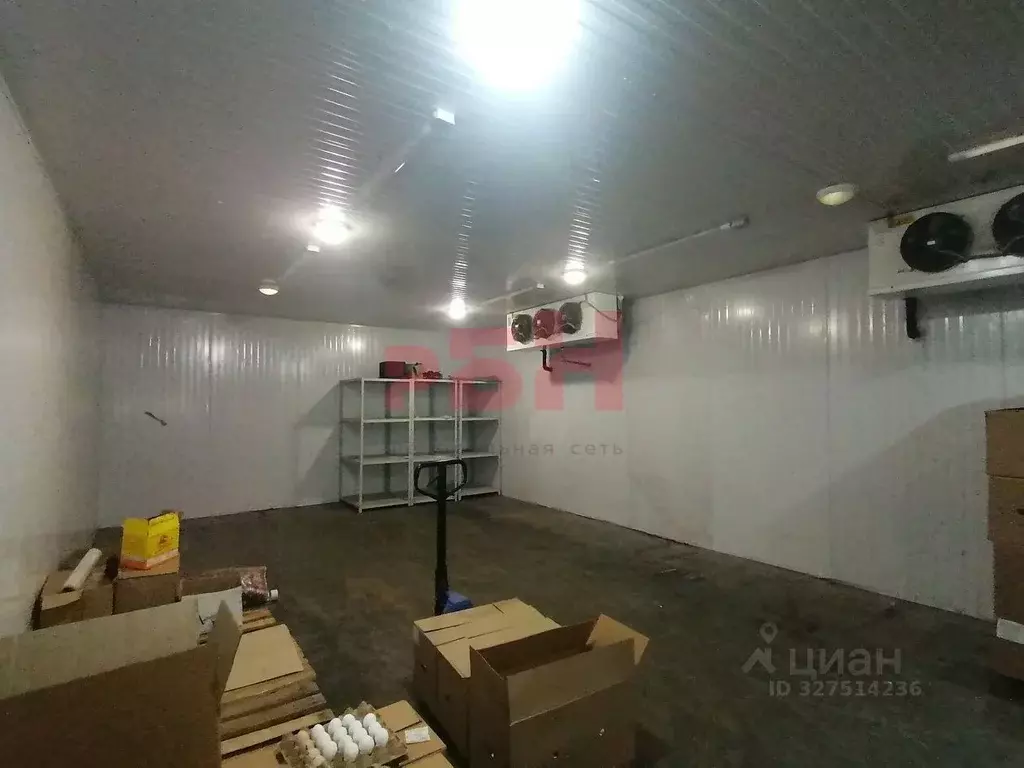 Склад в Пензенская область, Пенза ул. Новоселов (62 м) - Фото 1