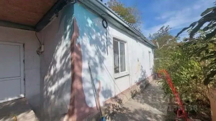 Дом в Краснодарский край, Ейский район, Должанская ст-ца ул. Калинина ... - Фото 2